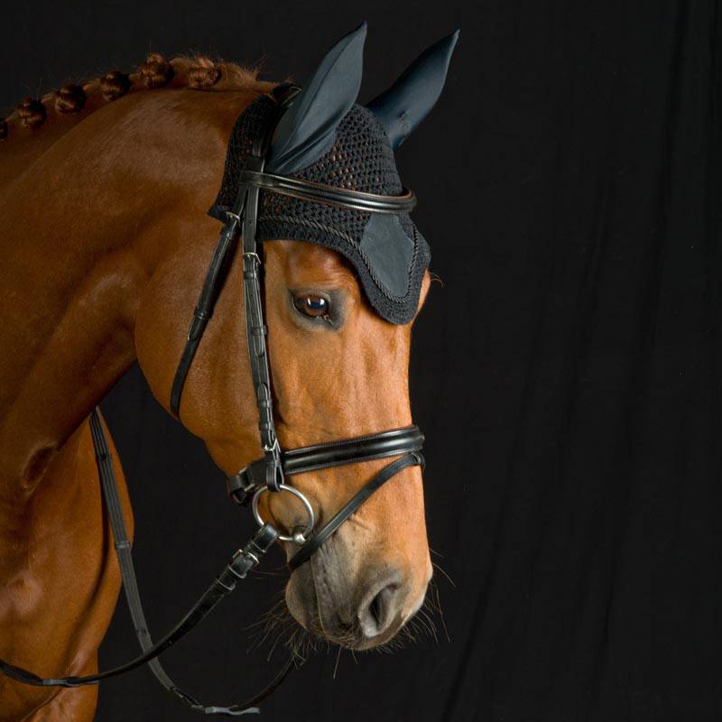 Nauszniki obszyte sznureczkiem Kavalkade - Cavalo